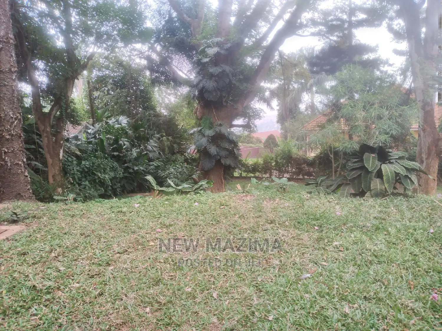 4bdrm Bungalow in Kizungu, Makindye for rent in Makindye