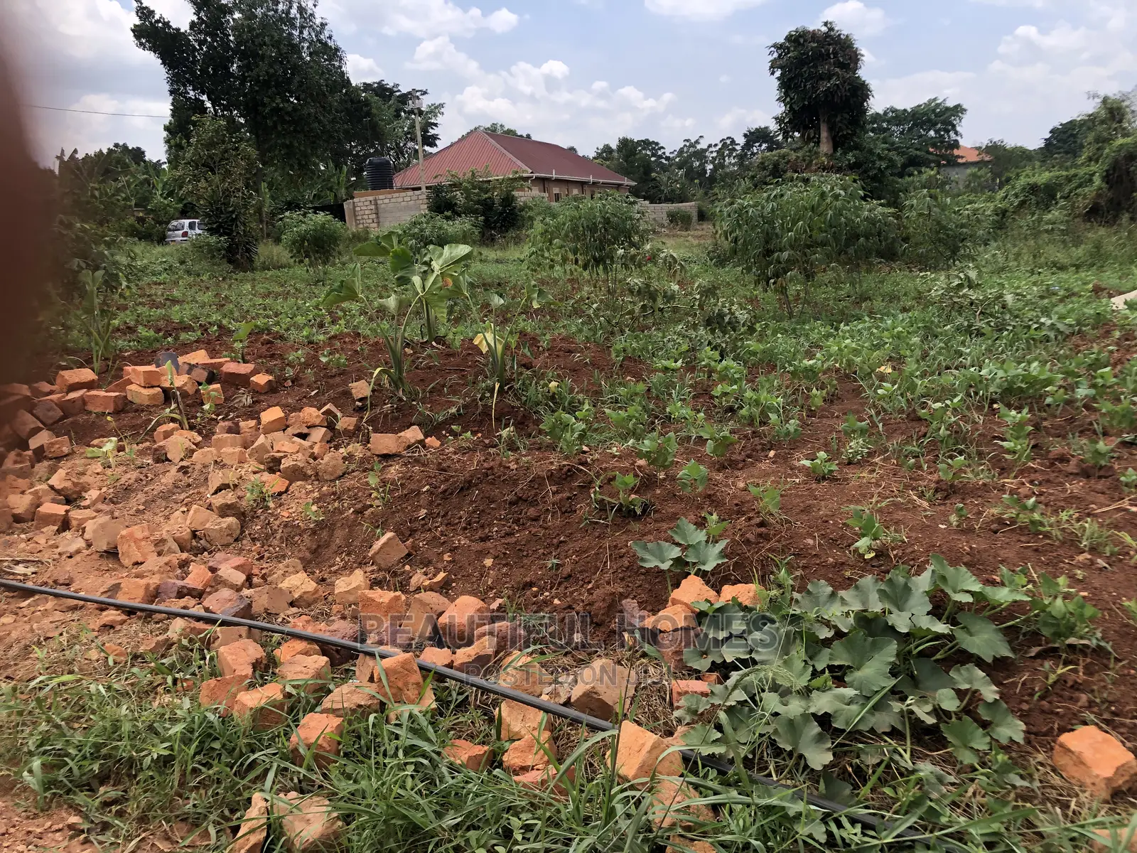 Kira Kimwani Twenty Five Decimals Near Tarmack on Quick Sale in Kampala