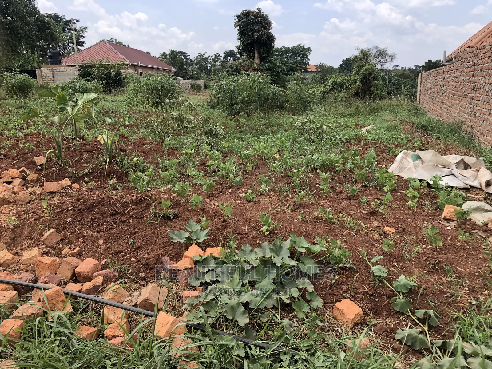 Kira Kimwani Twenty Five Decimals Near Tarmack on Quick Sale in Kampala