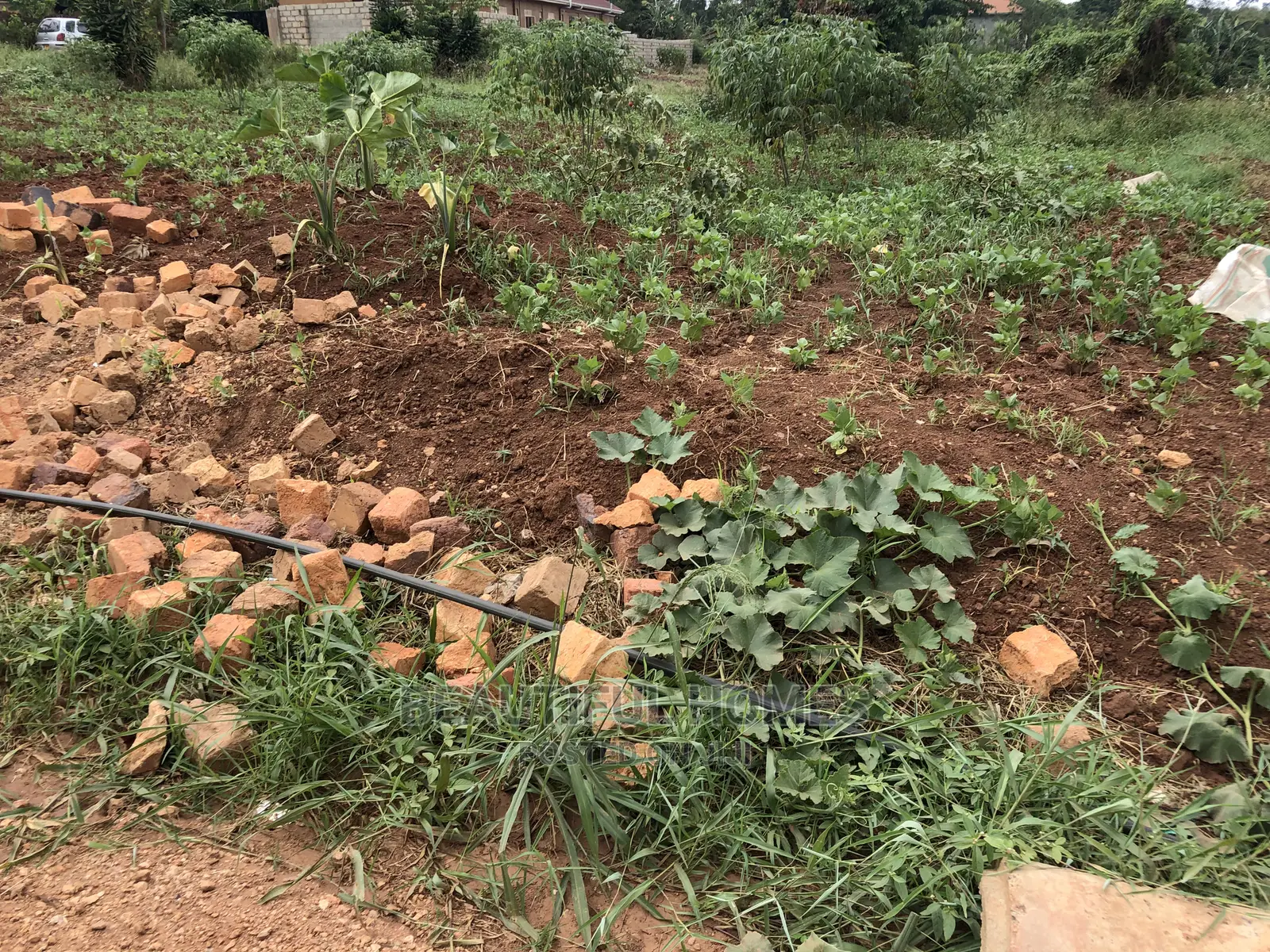 Kira Kimwani Twenty Five Decimals Near Tarmack on Quick Sale in Kampala