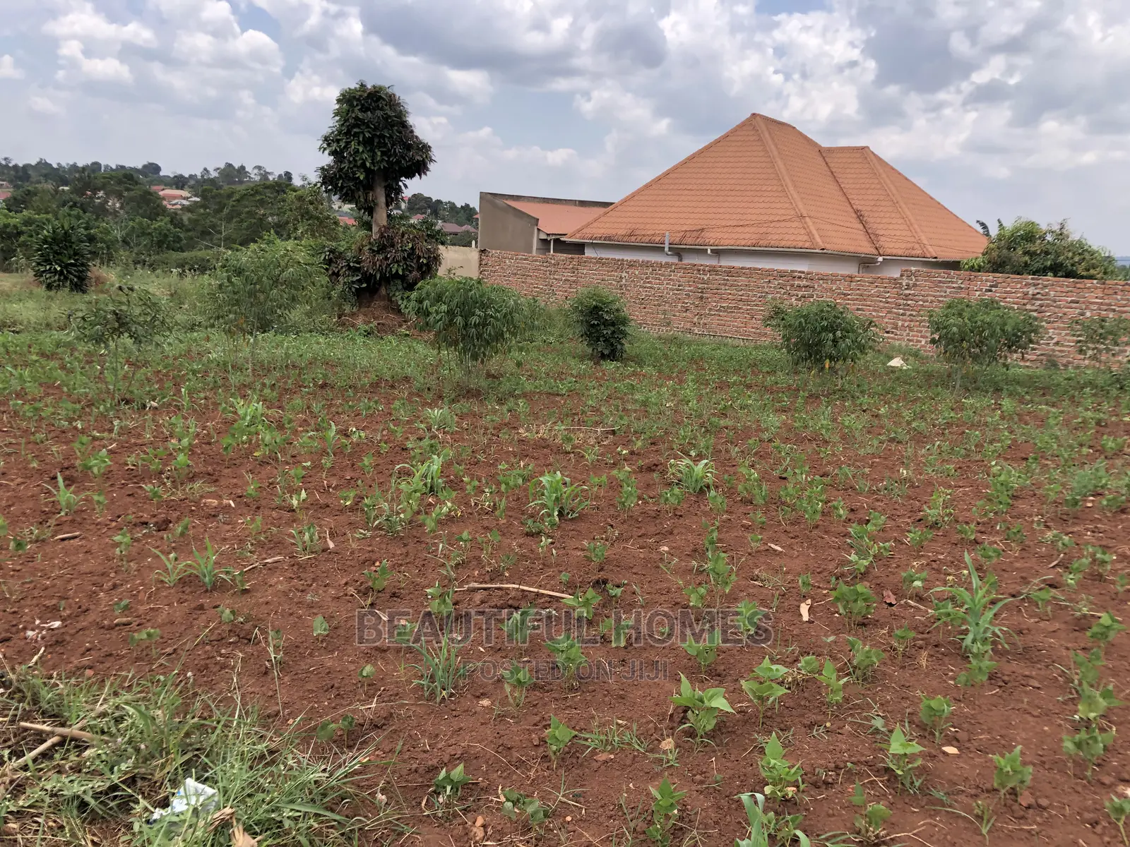 Kiira Kimwani 25 Decimals 80metres Off Tarmack on Sell in Kampala