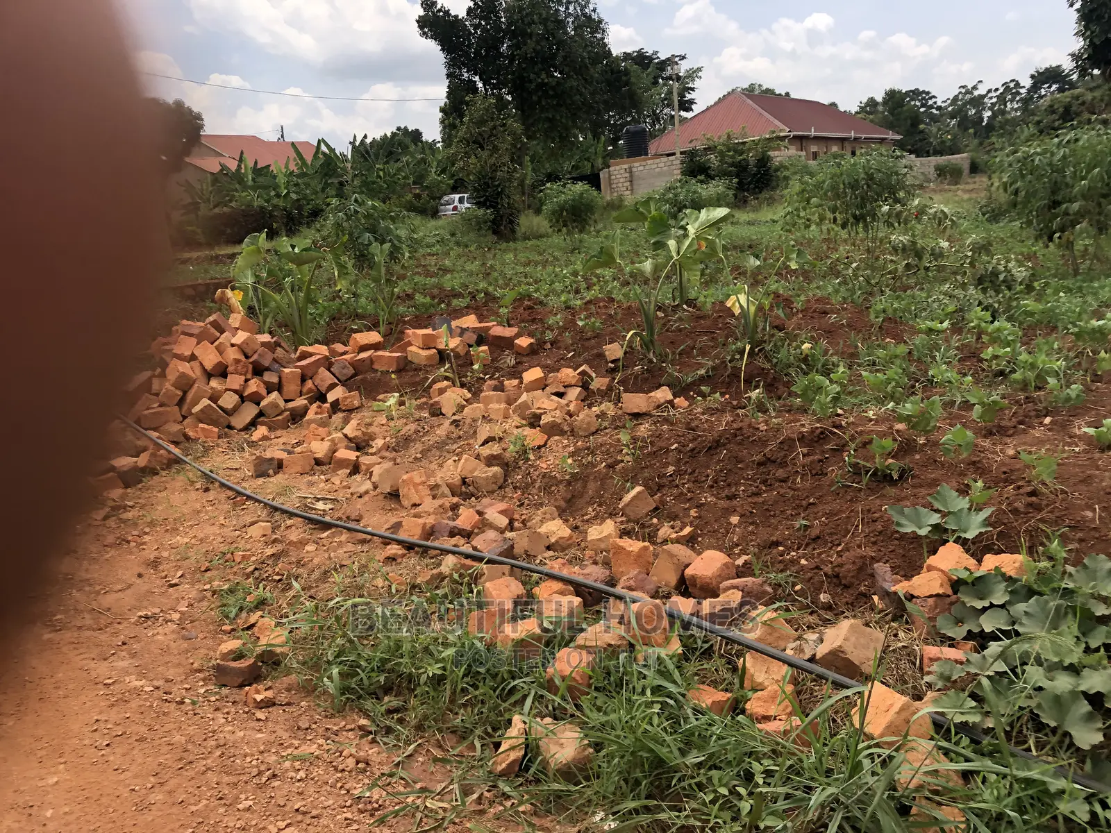 Kiira Kimwani 25 Decimals 80metres Off Tarmack on Sell in Kampala