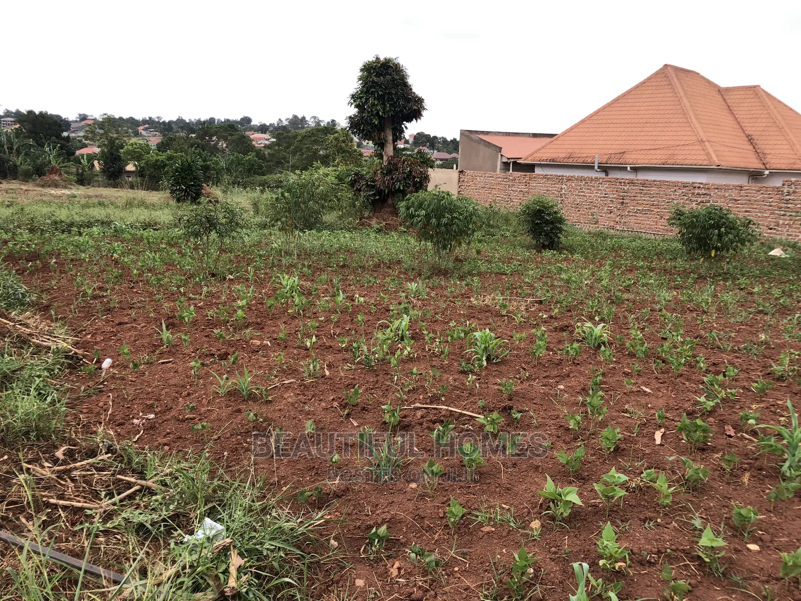 Kiira Kimwani 25 Decimals 80metres Off Tarmack on Sell in Kampala