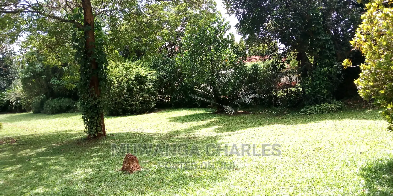 3bedrooms Furnished House Is Available for Rent in Kololo in Kampala