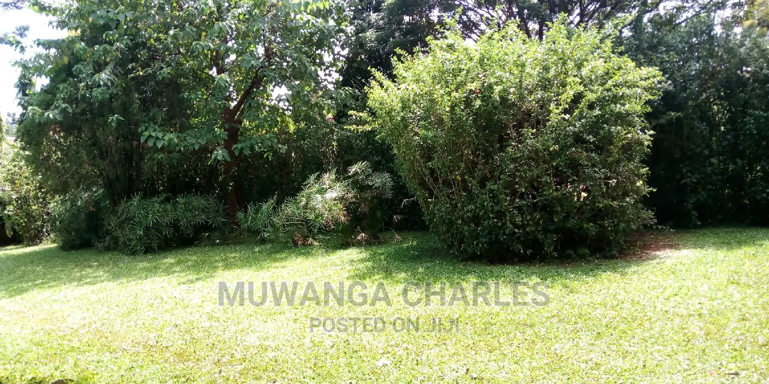3bedrooms Furnished House Is Available for Rent in Kololo in Kampala