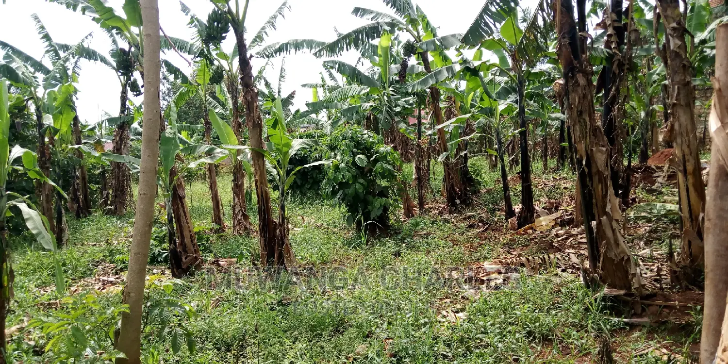 Plot Is Available for Sale in Kulambiro in Kampala