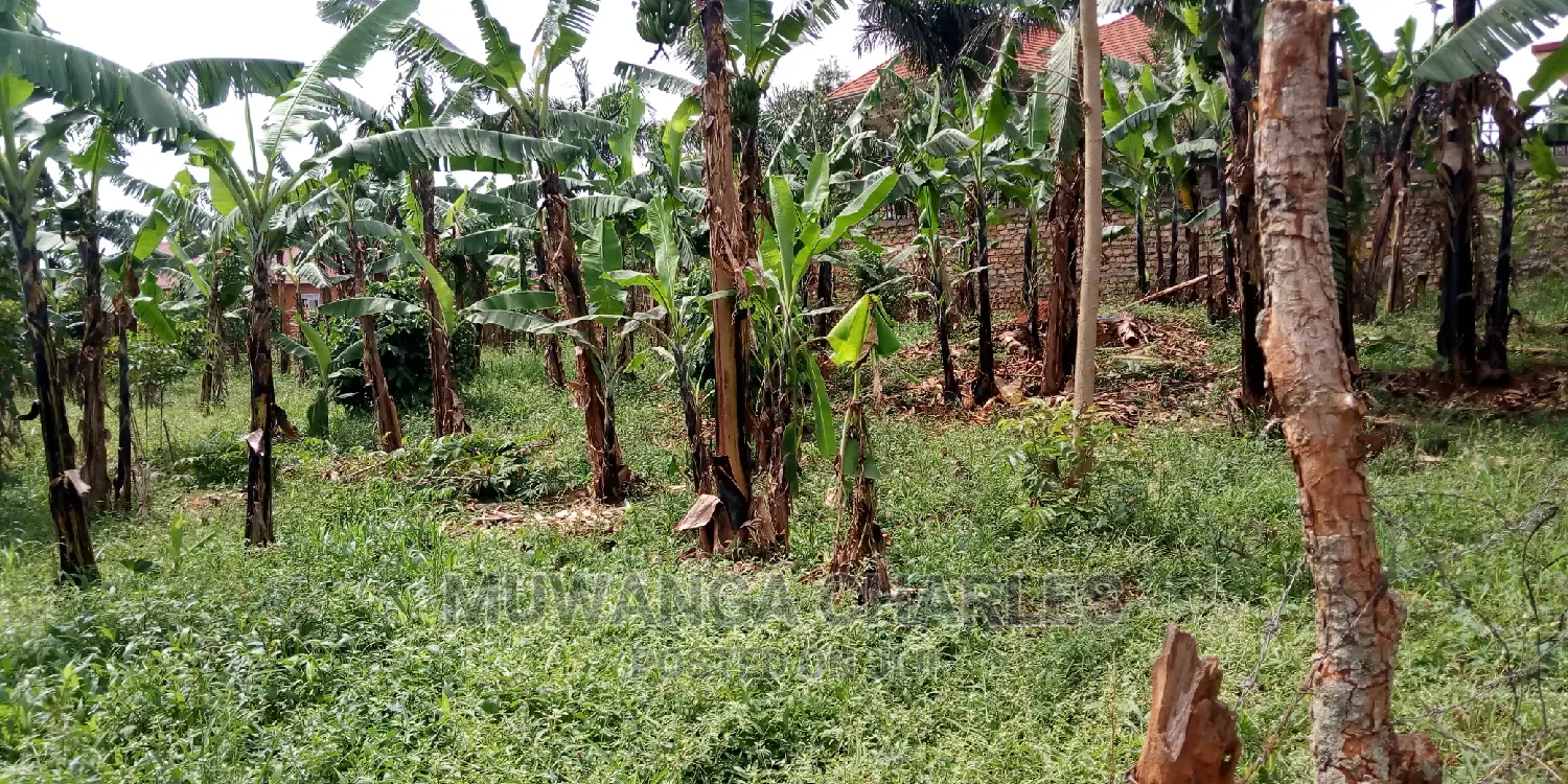 Plot Is Available for Sale in Kulambiro in Kampala