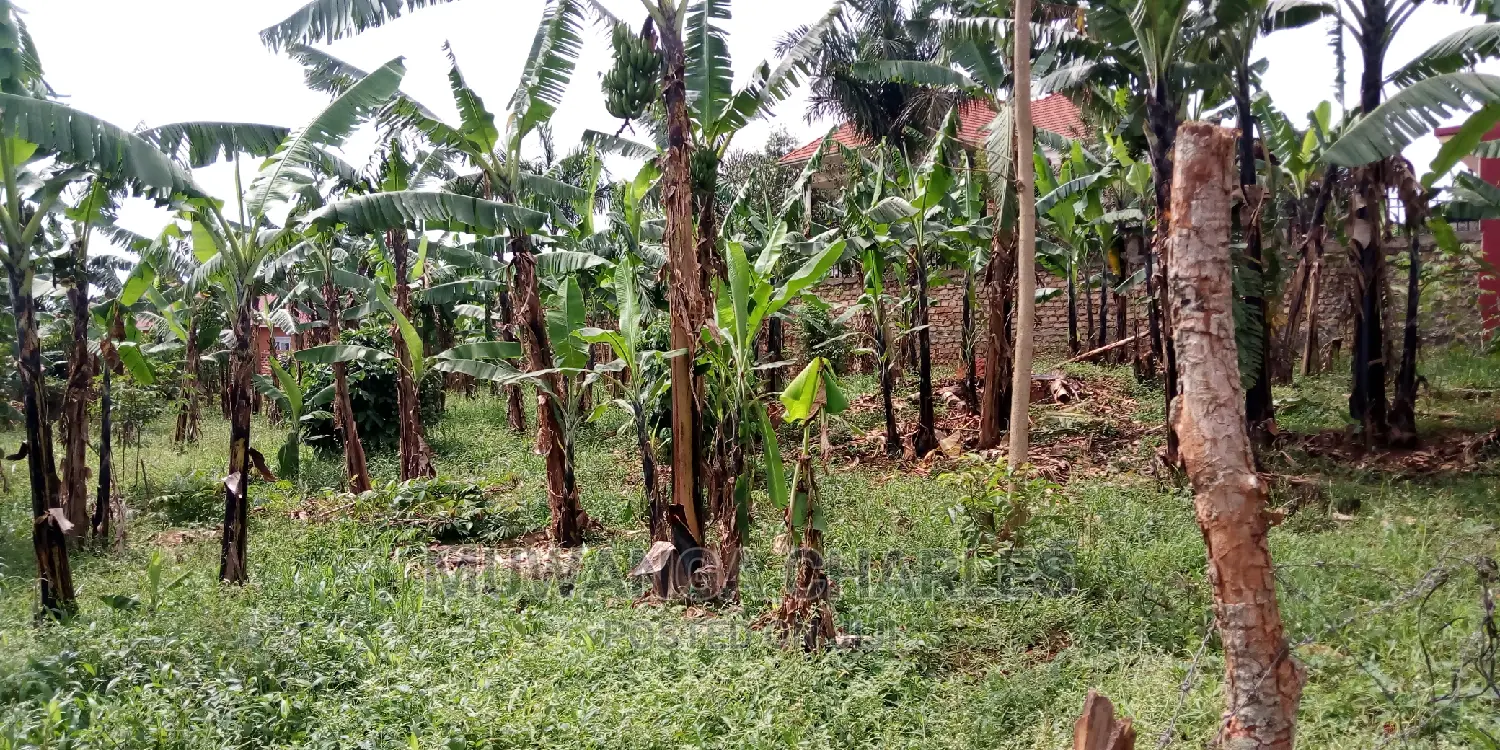 20decimals of Land Is Available for Sale in Kulambiro in Kampala