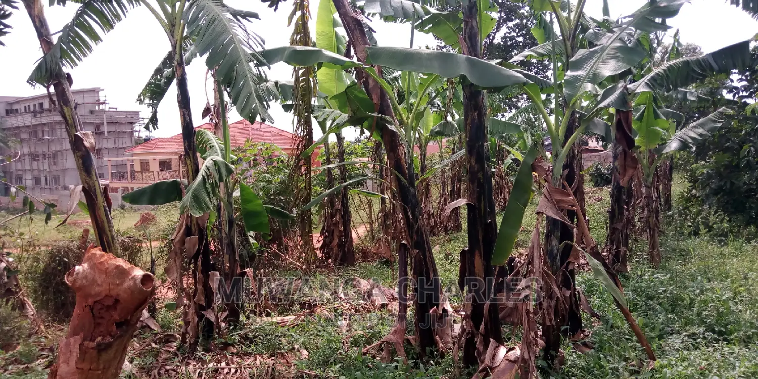20decimals of Land Is Available for Sale in Kulambiro in Kampala