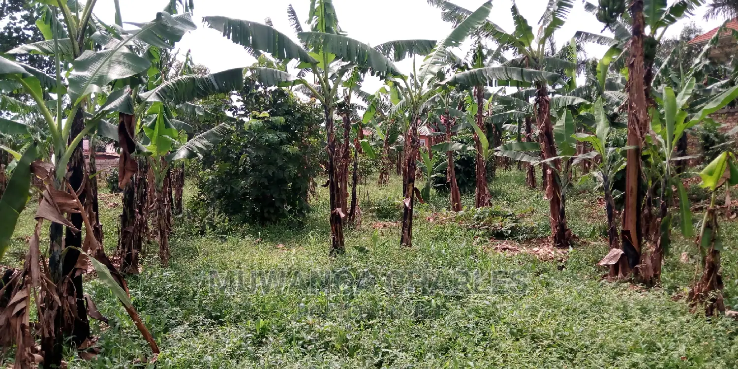 20decimals of Land Is Available for Sale in Kulambiro in Kampala