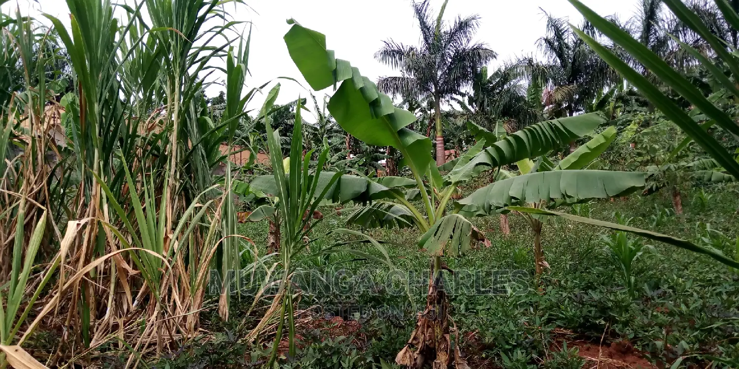 20decimals of Land Is Available for Sale in Kulambiro in Kampala