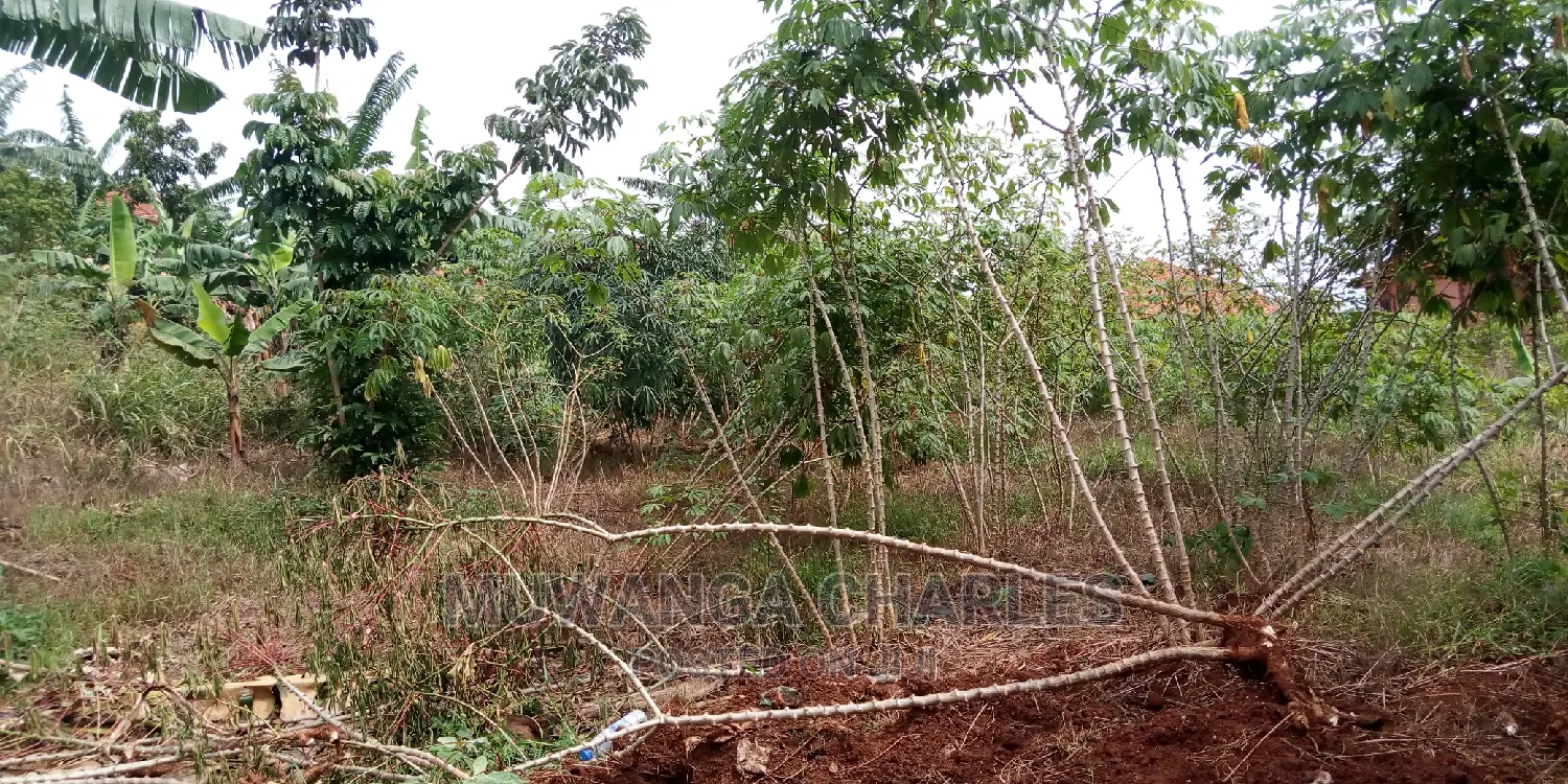 30decimals of Land Is Available for Sale in Kulambiro in Central Division