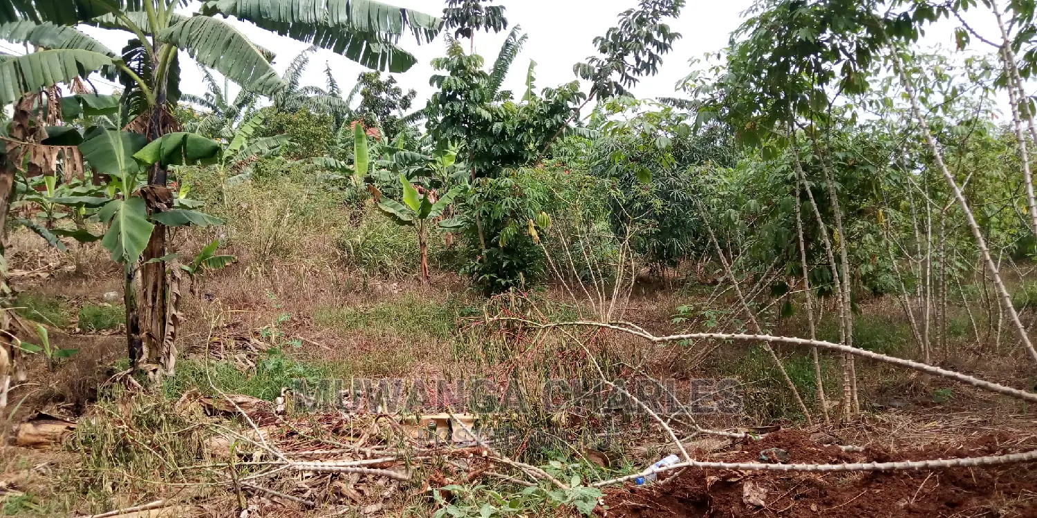 30decimals of Land Is Available for Sale in Kulambiro in Central Division