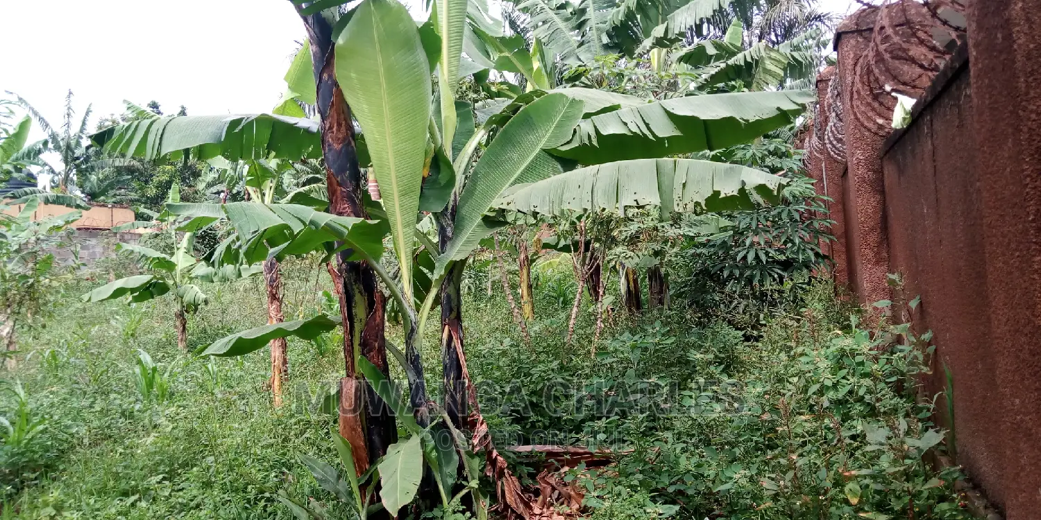 25decimals of Land Is Available for Sale in Kulambiro in Kampala