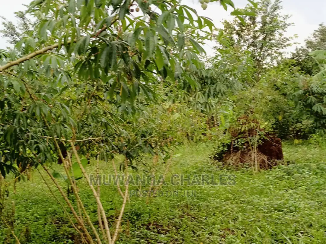 20acres of Land Is Available for Sale in Zirobwe in Kampala
