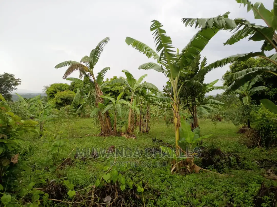 20acres of Land Is Available for Sale in Zirobwe in Kampala