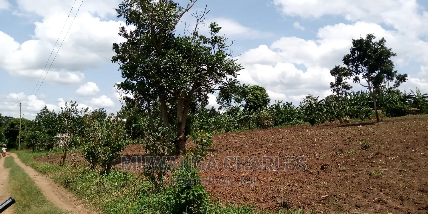 100acres Land Is Available for Sale in Bombo Kalule in Kampala