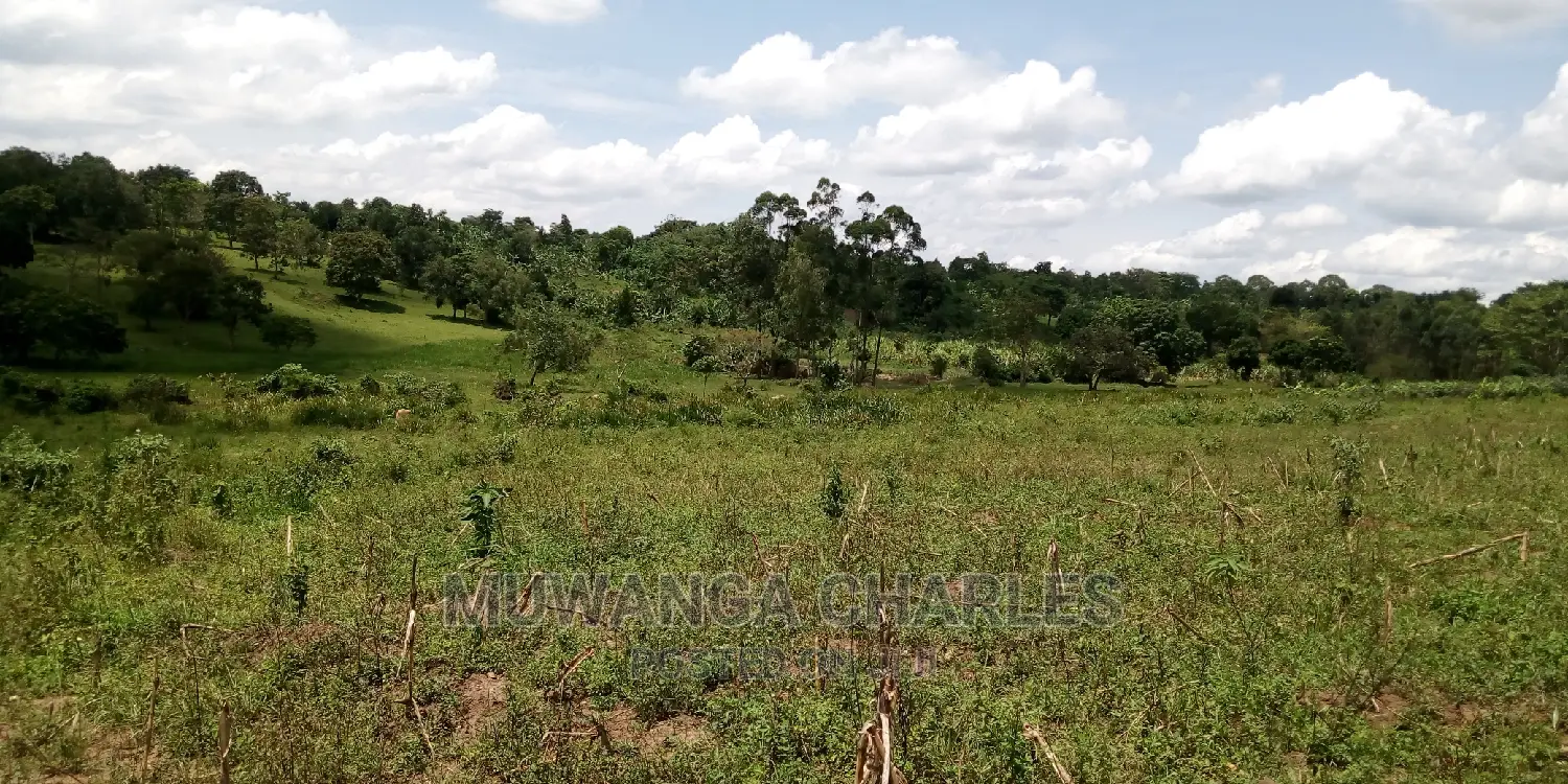 100acres Land Is Available for Sale in Bombo Kalule in Kampala