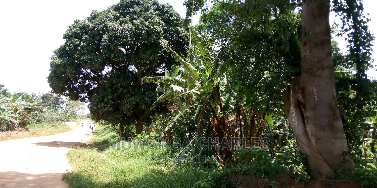 100acres Land Is Available for Sale in Bombo Kalule in Kampala