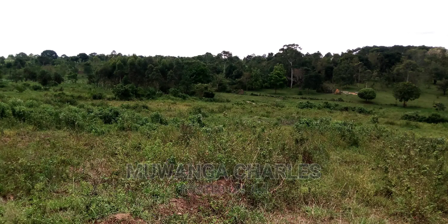100acres Land Is Available for Sale in Bombo Kalule in Kampala