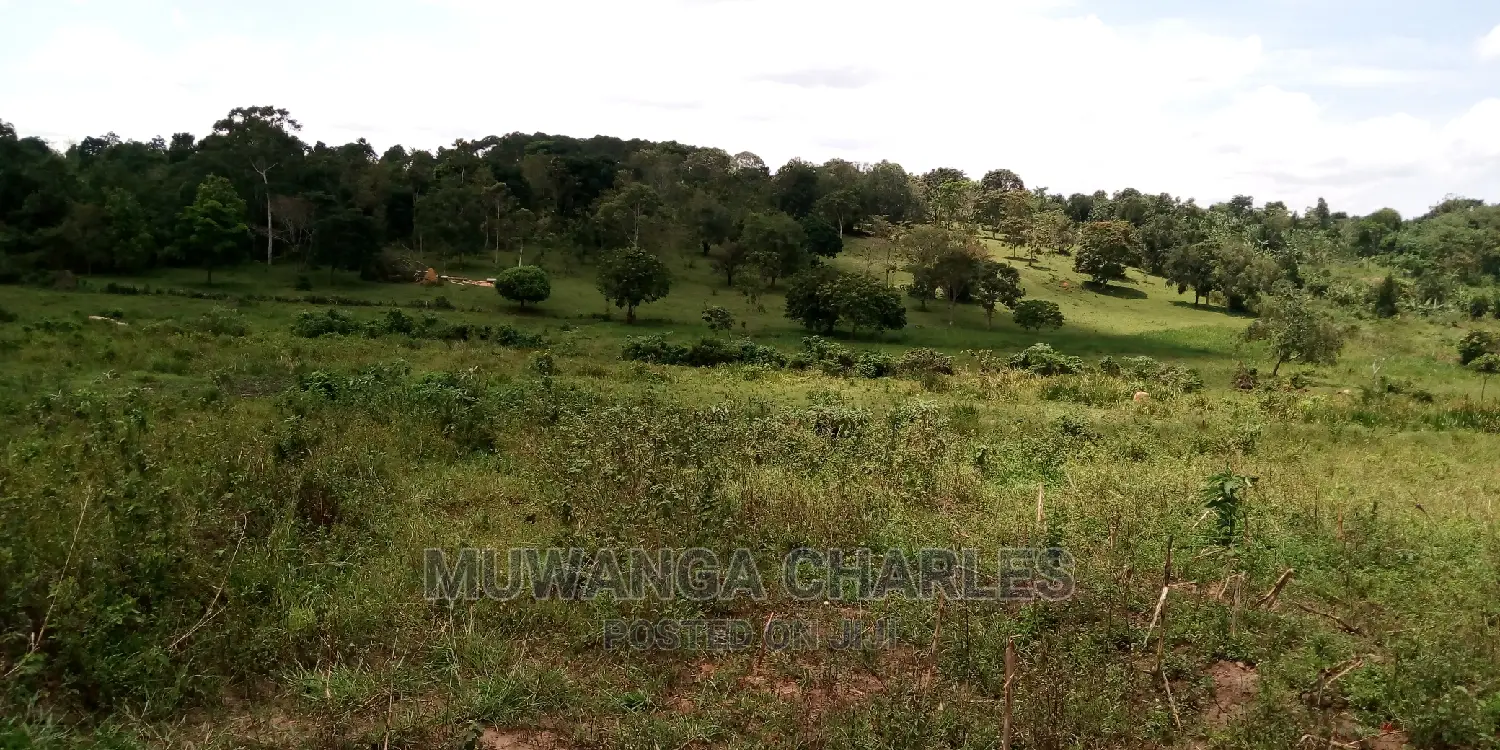 100acres Land Is Available for Sale in Bombo Kalule in Kampala