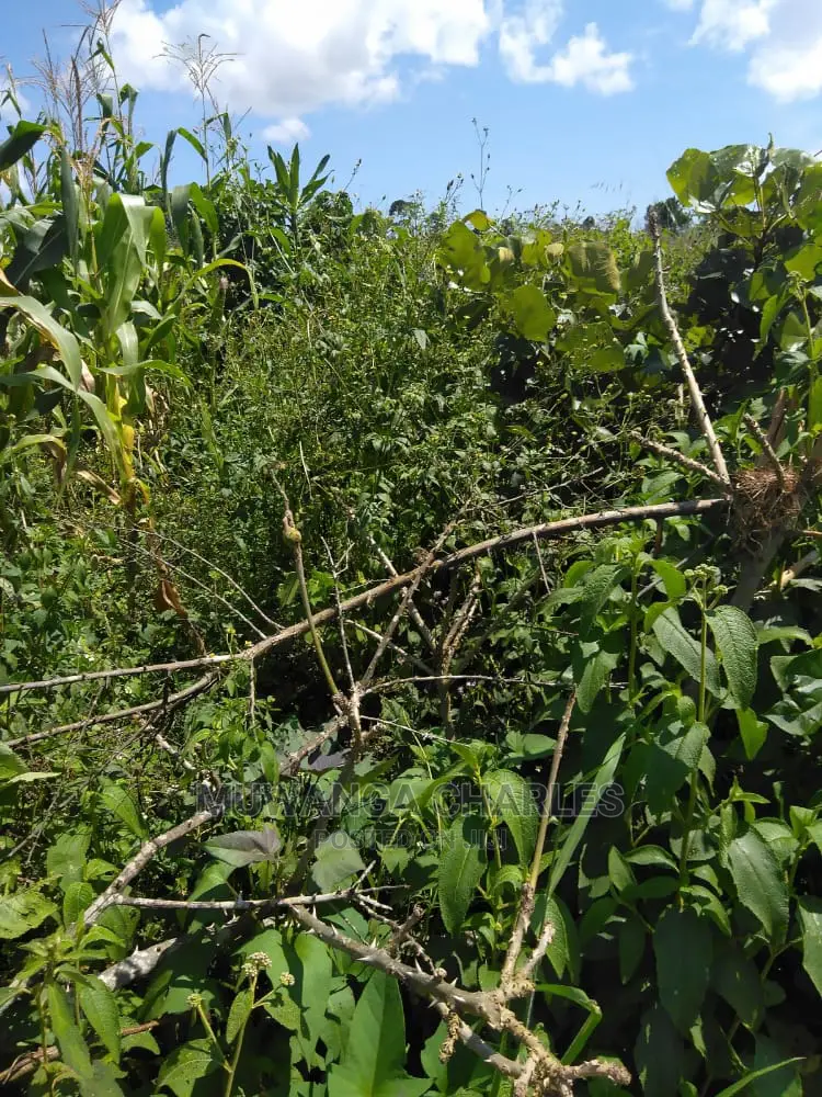 Plots Is Available for Sale in Gayaza Kiwenda in Kampala