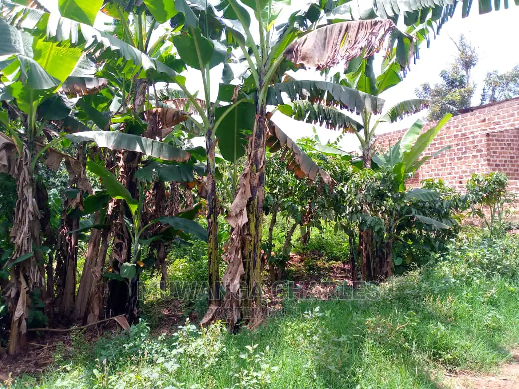 Plots Is Available for Sale in Gayaza Kiwenda in Kampala
