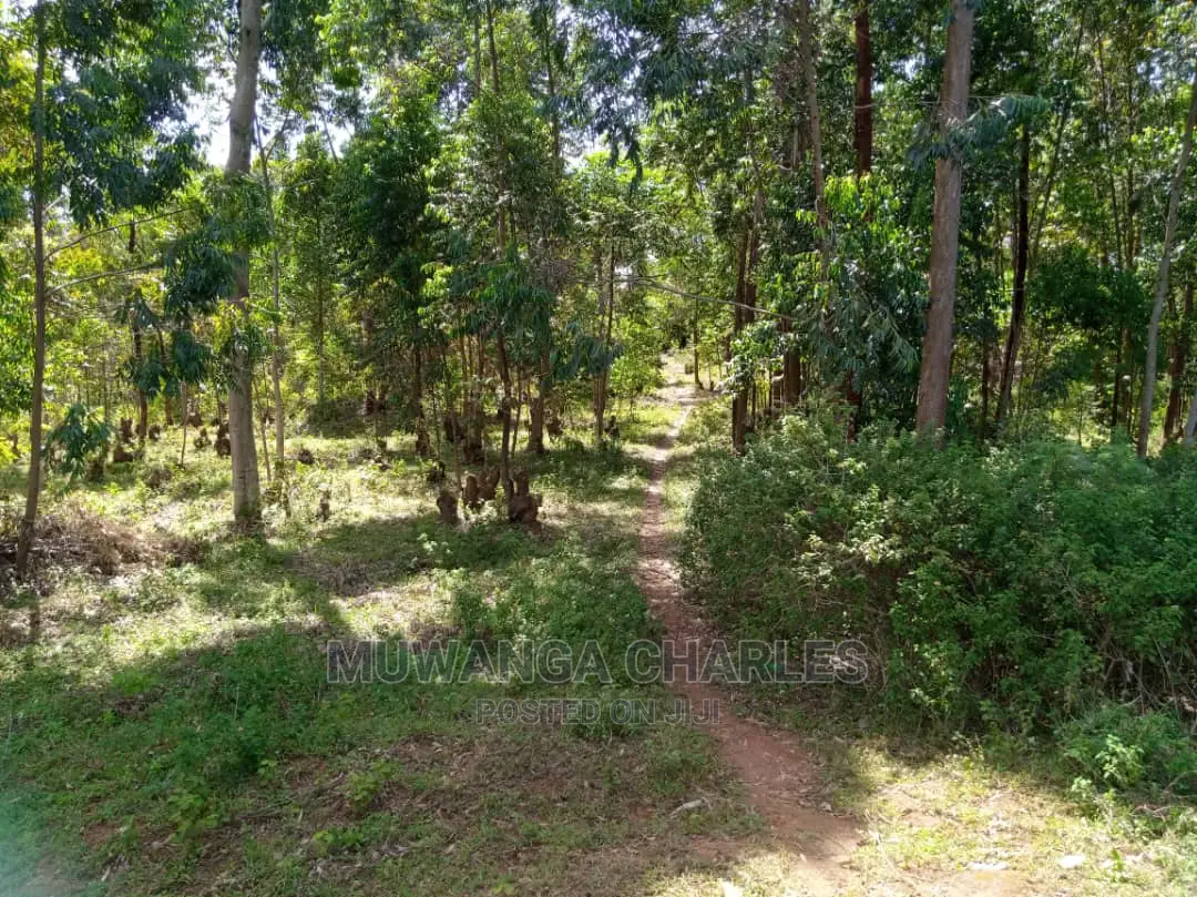 Plots Is Available for Sale in Gayaza Kiwenda in Kampala