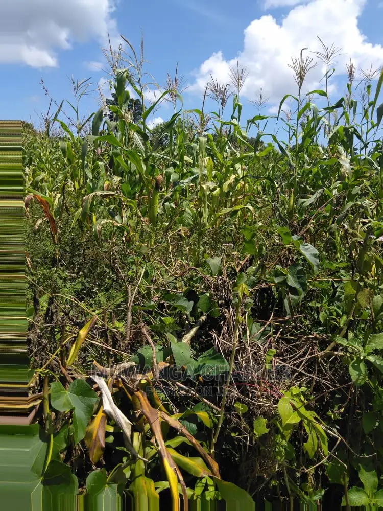 Plots Is Available for Sale in Gayaza Kiwenda in Kampala