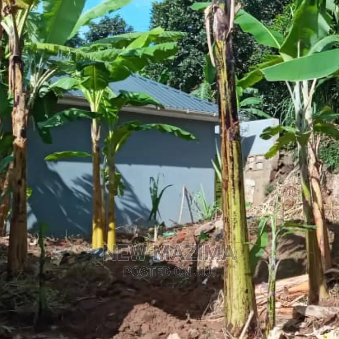 Prime Plot Quicksale Salaama Munyonyo Rd in Prime Neighbours in Central Division