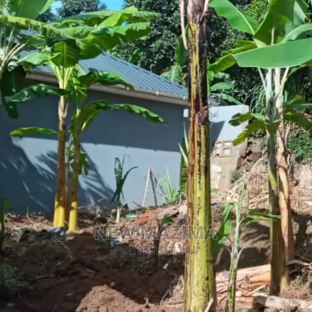 Prime Plot Quicksale Salaama Munyonyo Rd in Prime Neighbours in Central Division