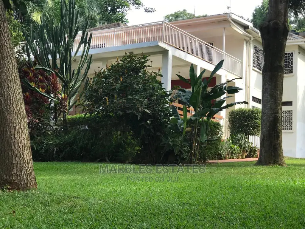 Nice House for Rent in BUGOLOBI. in Kampala