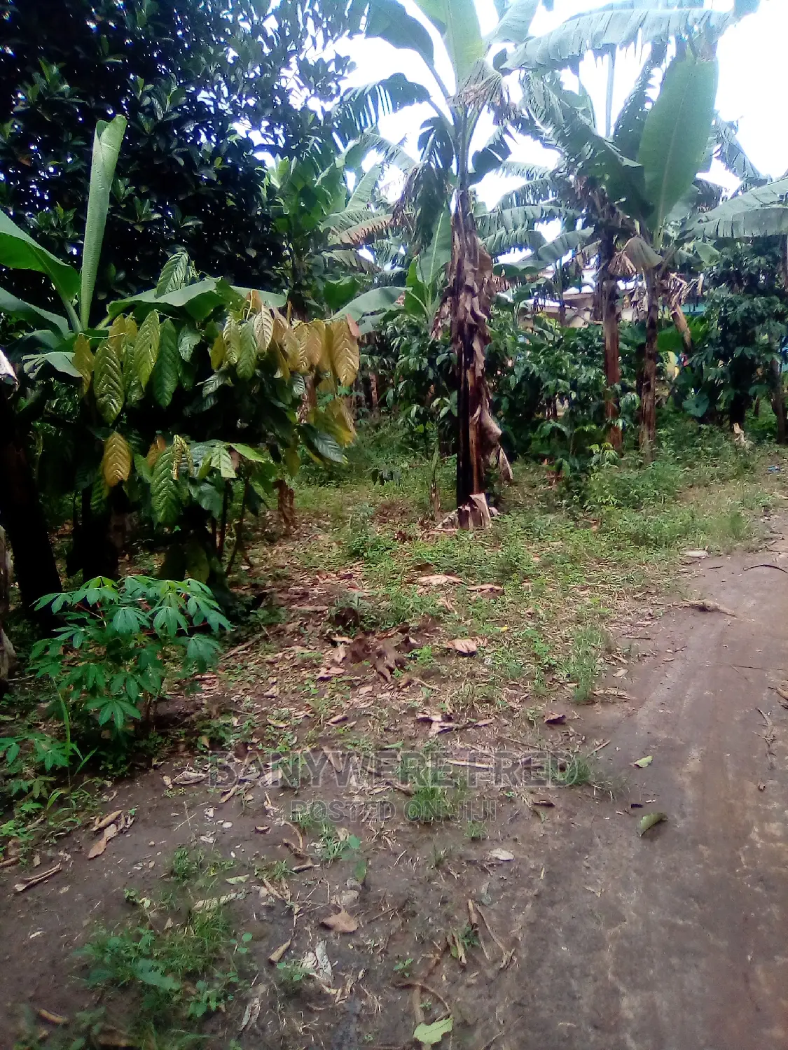 Plots for Sale in Semuto Road, Sanga in Kampala