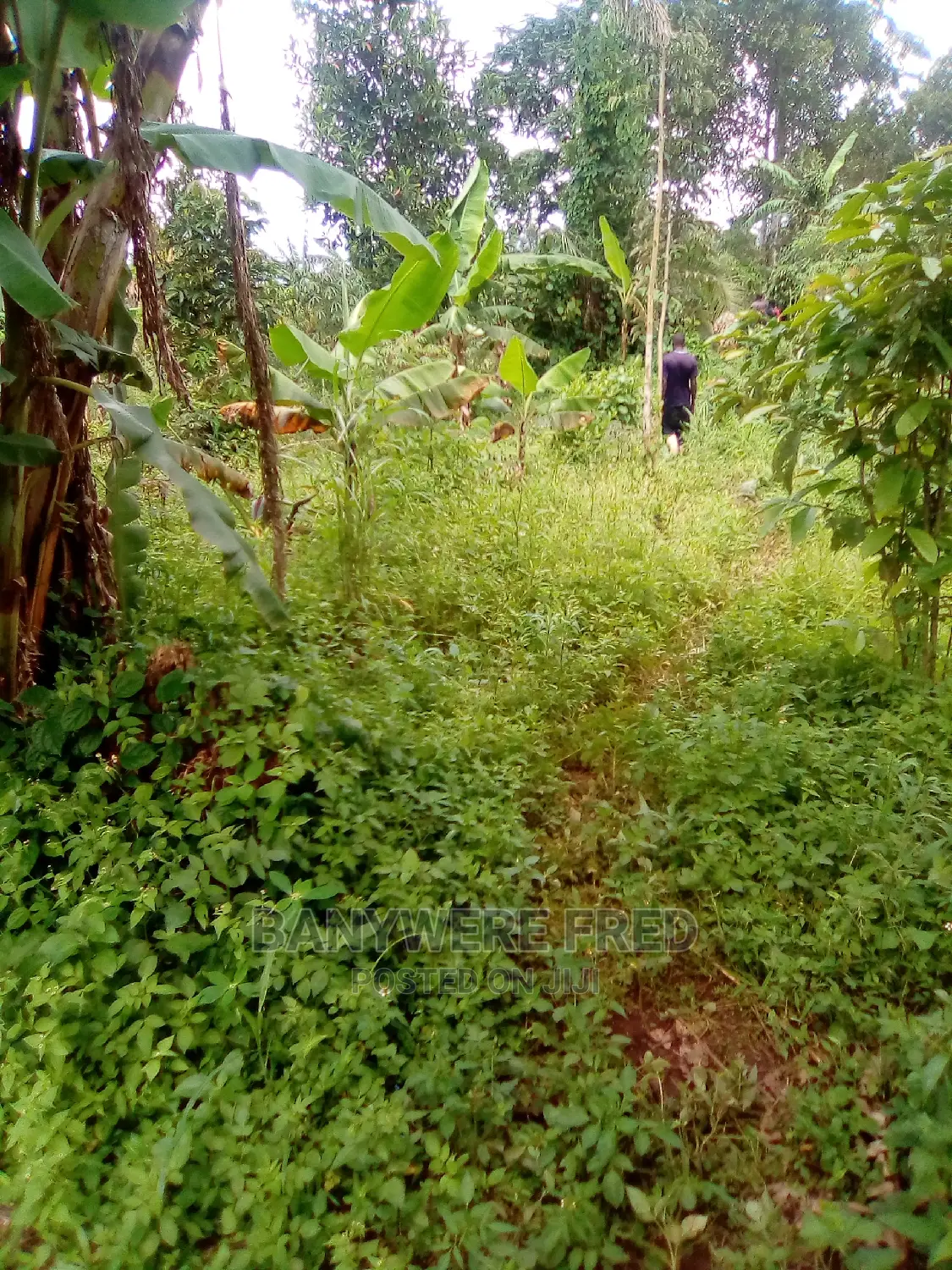 Plots for Sale in Kavule Semuto Road (0.5acre) in Kampala