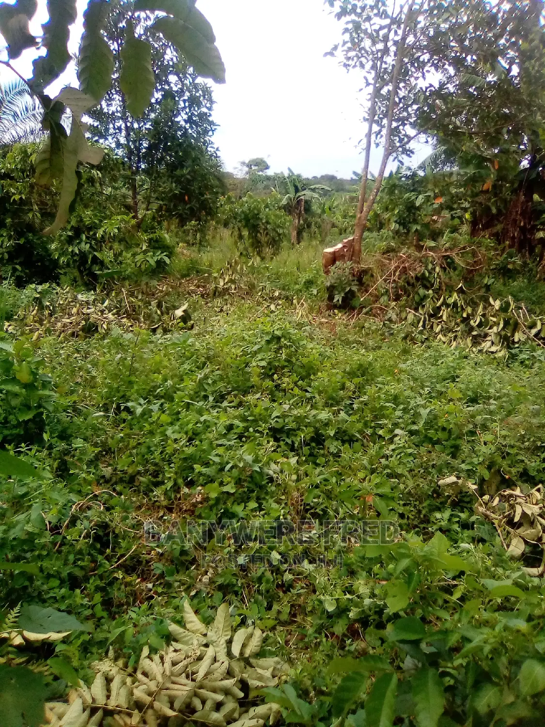 Plots for Sale in Kavule Semuto Road (0.5acre) in Kampala