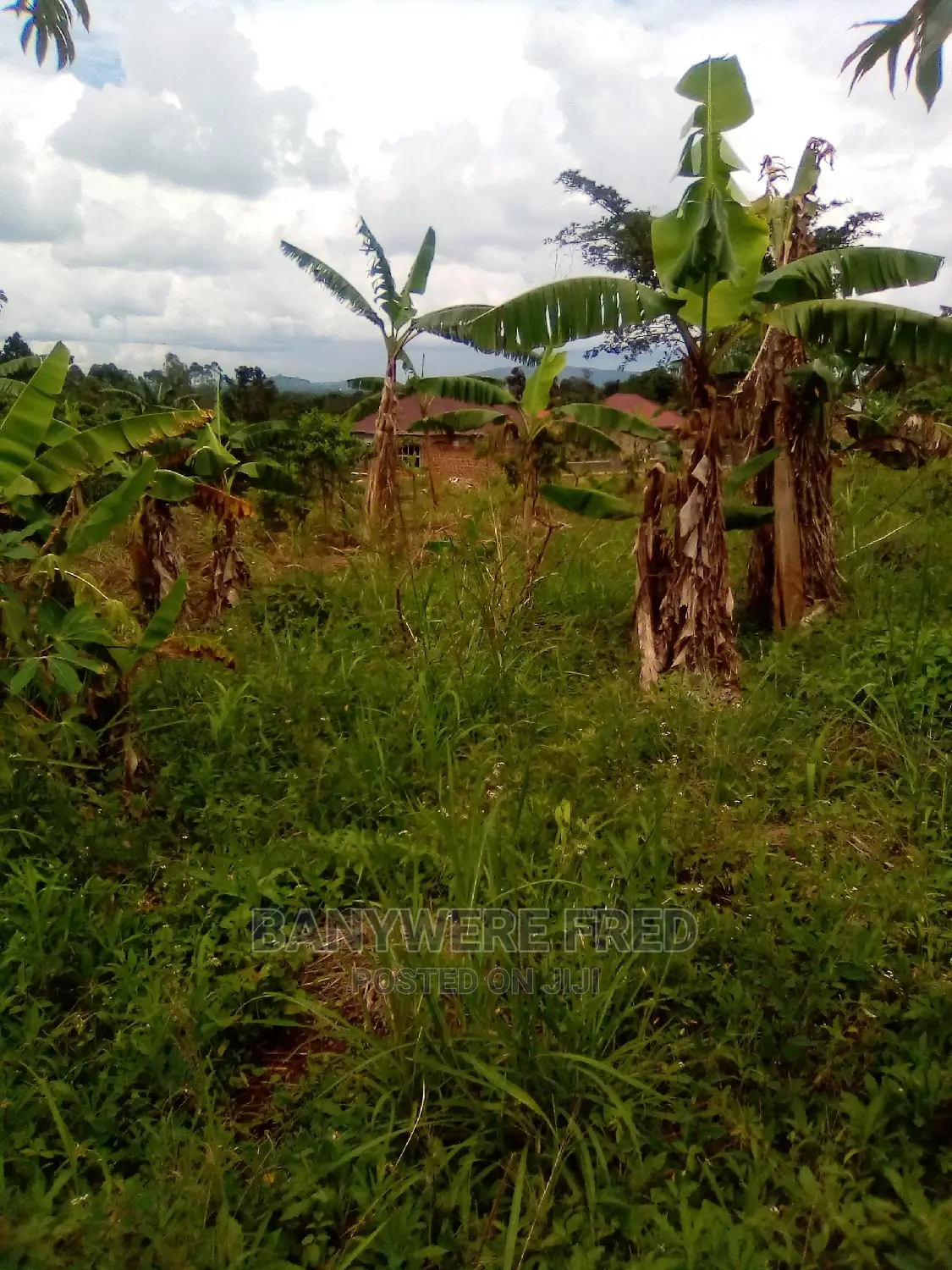 Plots for Sale in Kavule Semuto Road (0.5acre) in Kampala