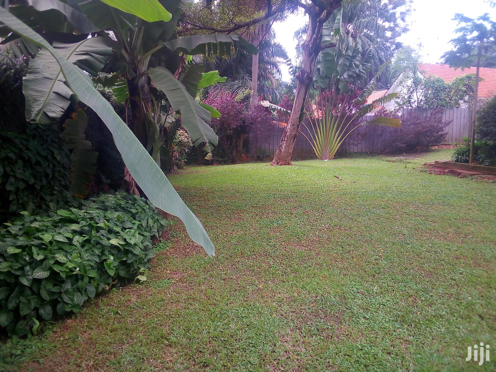 Three Bedroom House In Kololo For Rent in Kampala