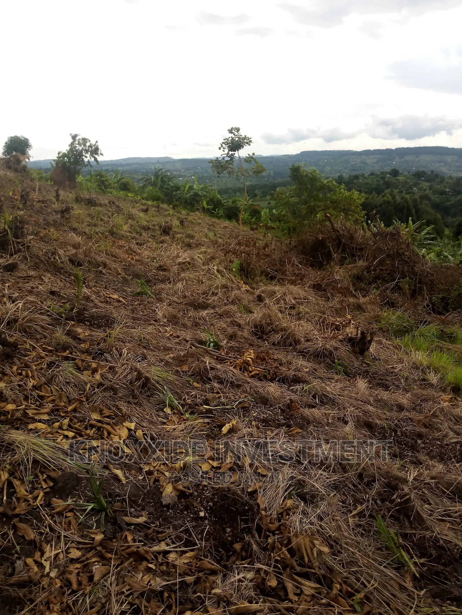 Land for Sale 2acres Kakiri Ready Private Land Title in Central Division