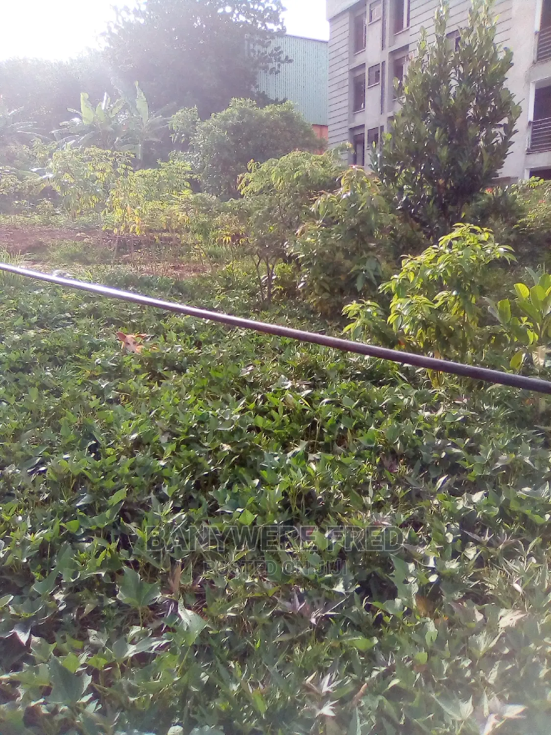 Plot for Sale 50/100 in Bweyogerere, Kakajo in Kampala