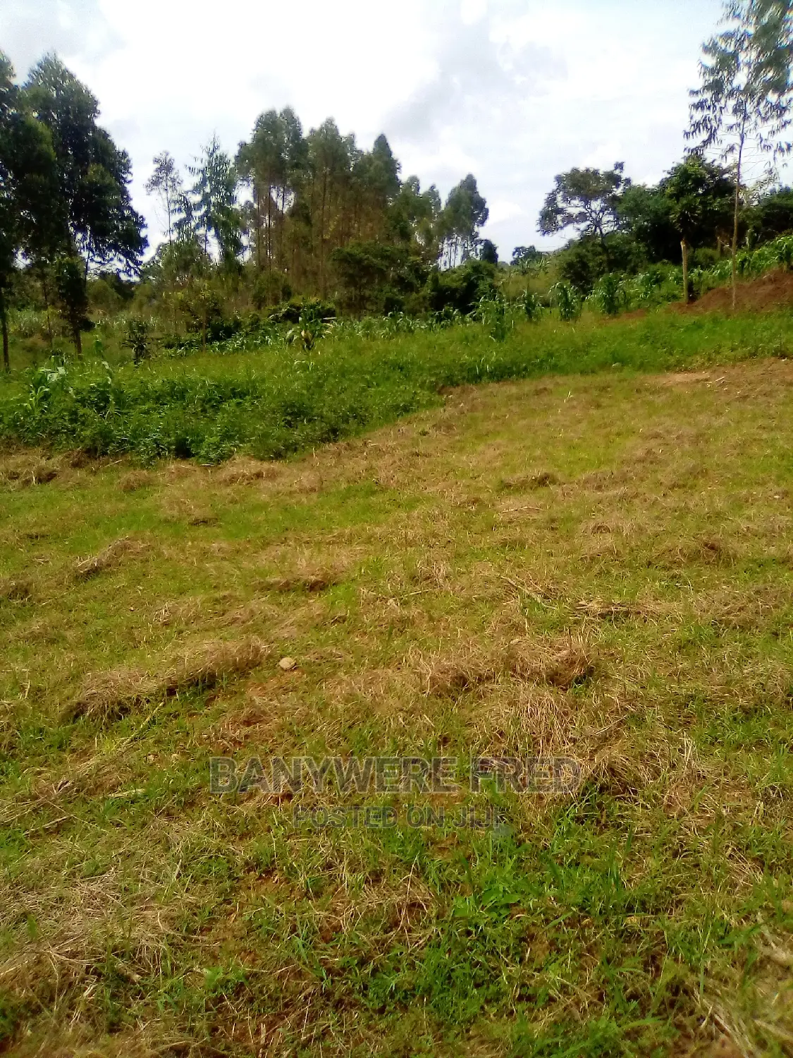 Plot for Sale in Sonde, Mukikulu in Mukono