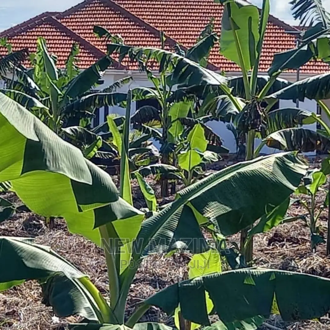 4 Bedrooms Bungalow for Sale in Nakawuka, Wakiso in Wakiso