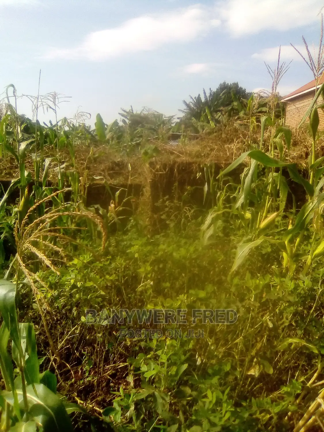 Plot for Sale in Jomayi Estate, Namwezi Sonde in Mukono