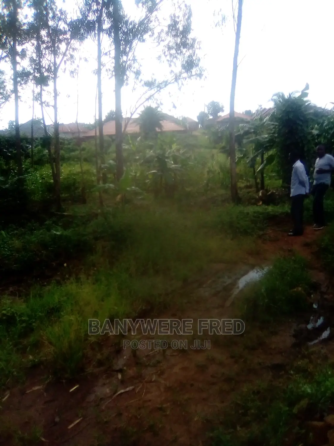 100/100 Plot for Sale in Nabusugwe Sonde in Mukono