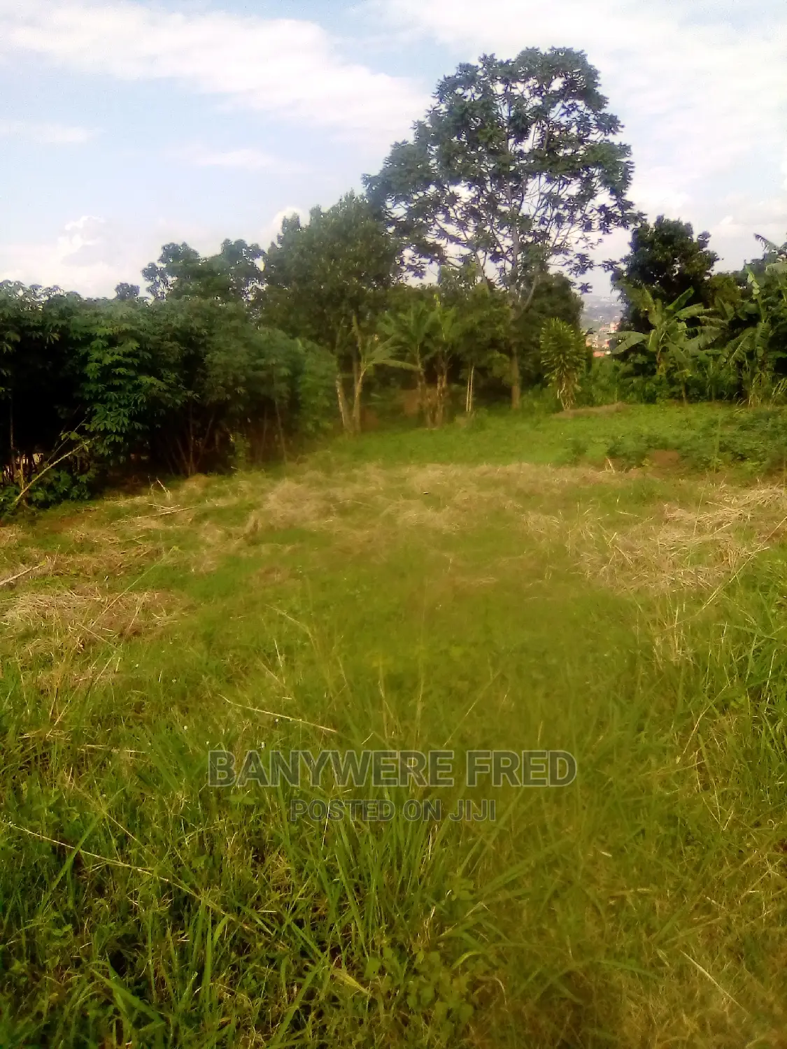 Plot 50/100 for Sale in Jogo Near Church of Uganda in Mukono