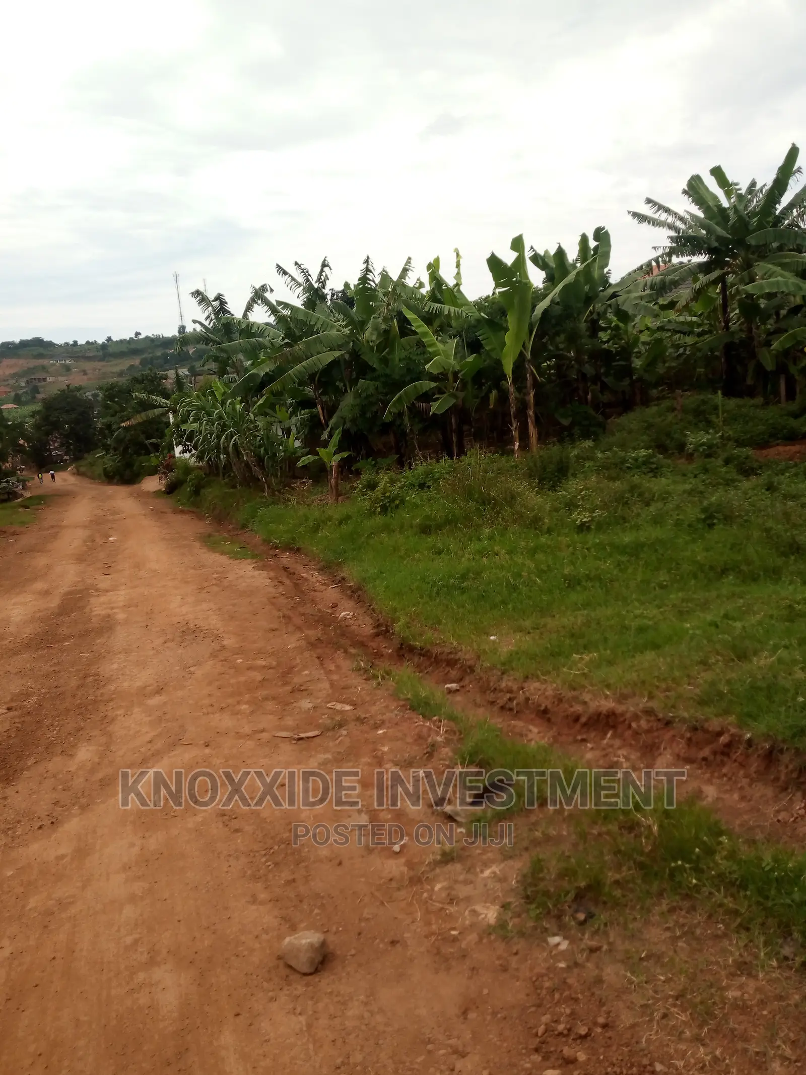 Plot for Sale 60x30ft at 5.5m Ugx Setema Town in Kampala