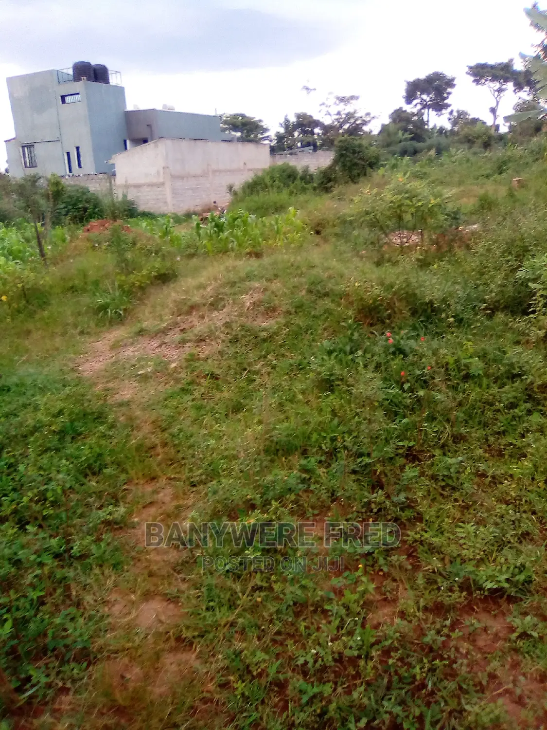 Acre of Land for Sale at Jongo in Mukono