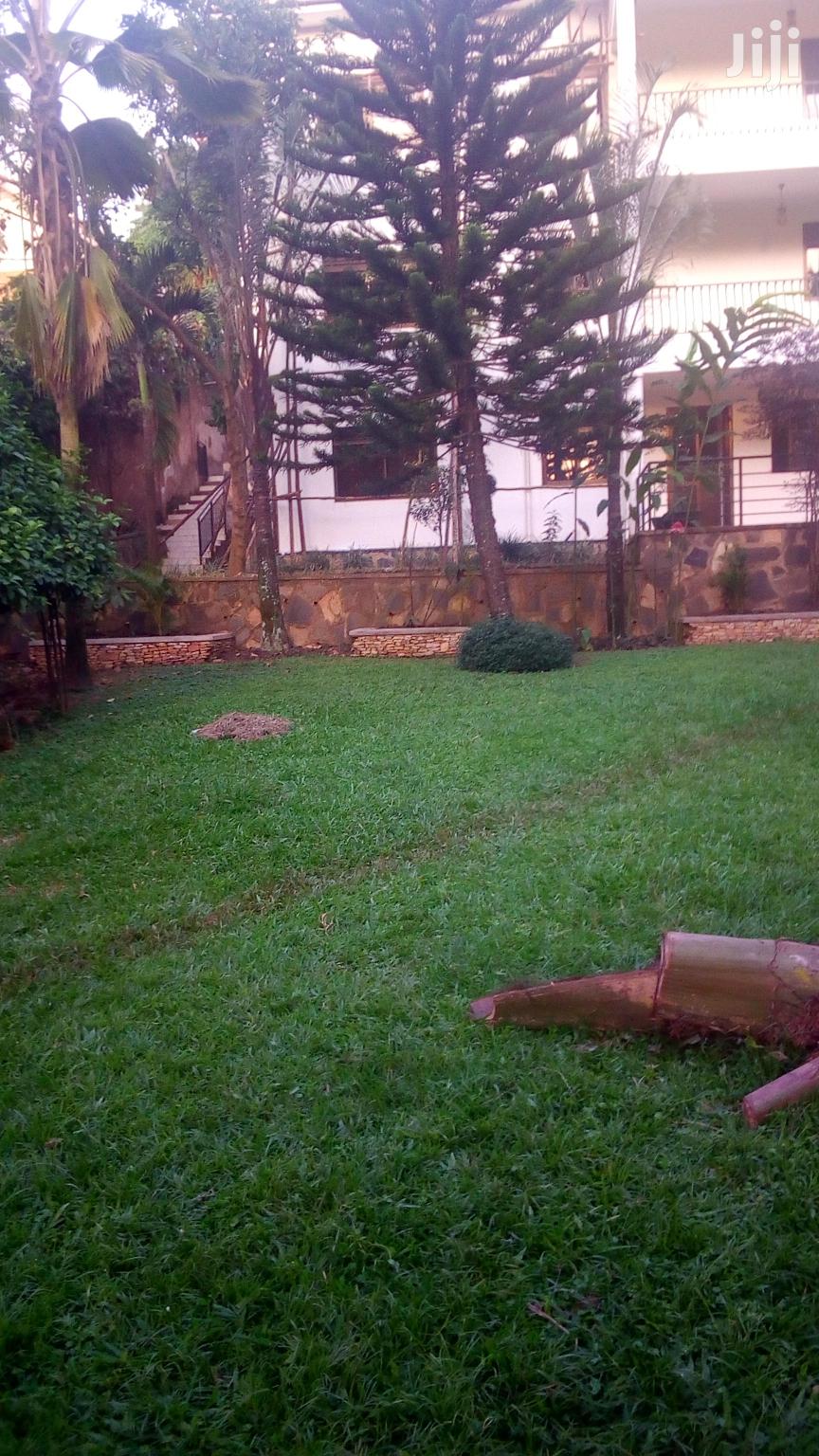 A Storeyed House for Rent in Naguru in Kampala