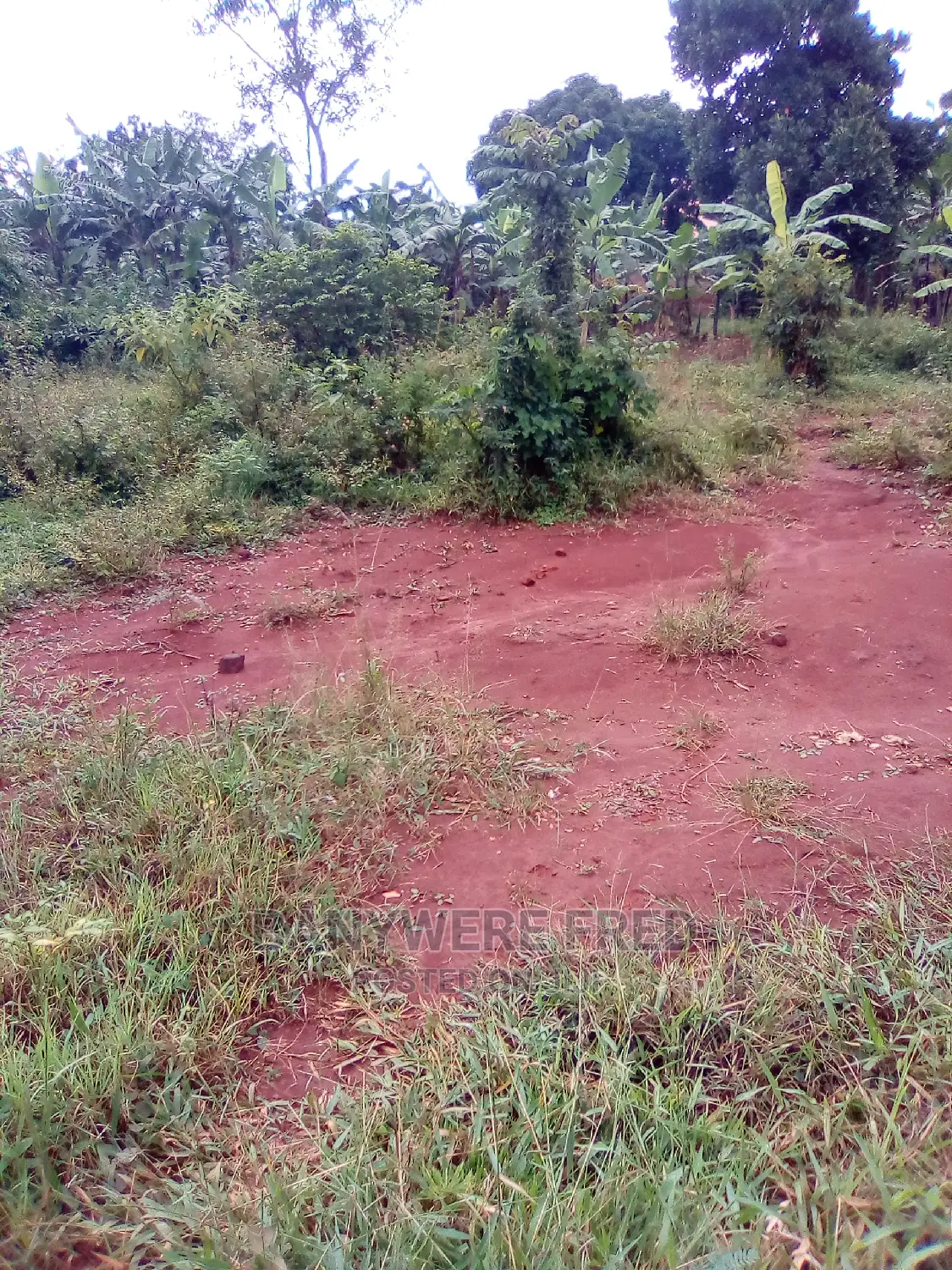 100x50ft Plot for Sale Ta Only 15000000 Shillings in Wakiso