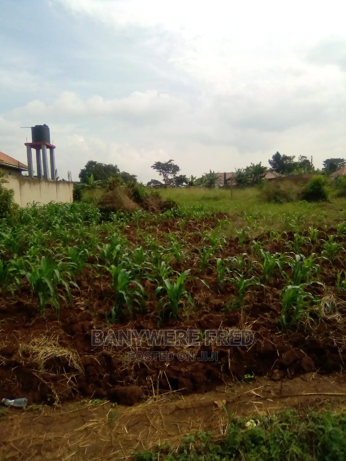 100x100ft for Sale at Kimwani in Wakiso