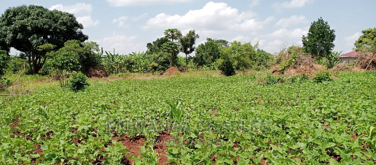 1acre Is Available for Sale in Busika in Kampala